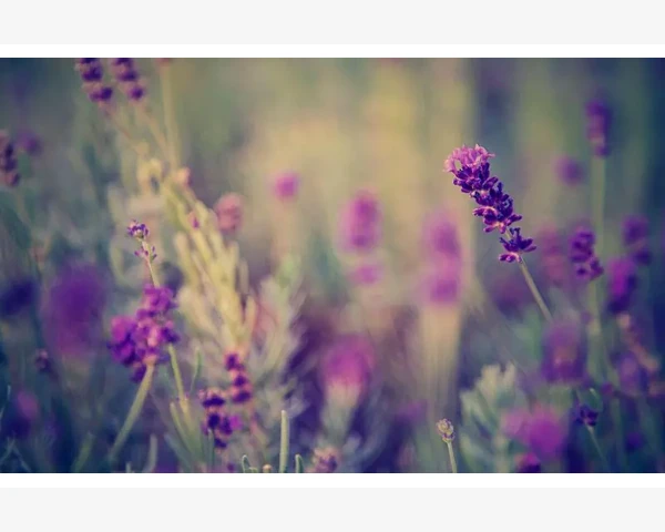 B2B网站权重提升的实用方法_精准匹配采购需求的关键步骤