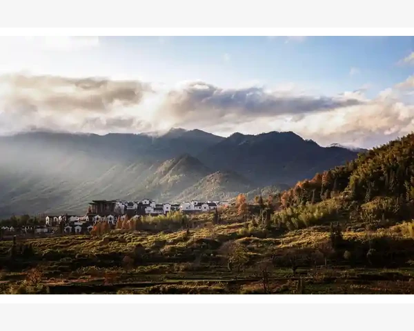 内贸B2B网站精选清单企业找资源必看_物流与支付：打通交易的最后关口