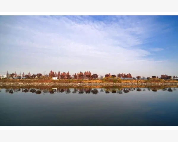 上药B2B平台药品采购全流程实操_B2B物流的核心运作流程