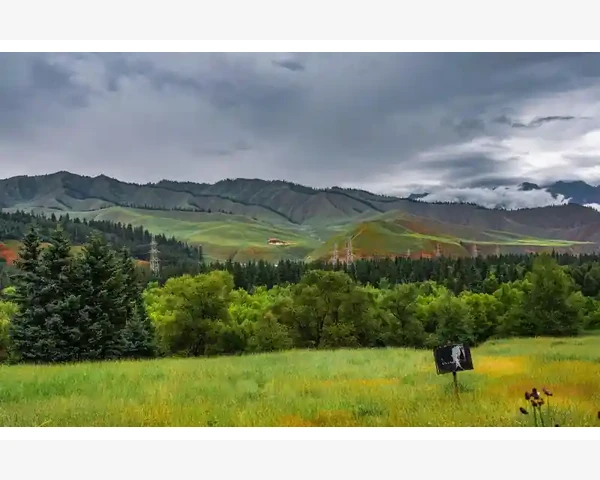 内衣B2B网站实战运营与平台选择指南_订单流程管理与跟踪技巧