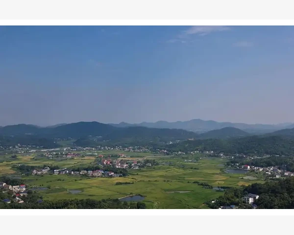 MT4电脑版历史行情找回方法详解