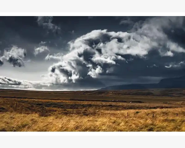 B2B广告投放实战技巧助企业快速获客_B2B广告投放实战技巧助企业快速获客