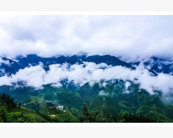 MT4电脑版启动失败卡死的原因排查与修复方法