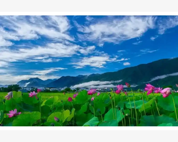 B2B赛道未来三年关键变革_B2B赛道未来三年关键变革
