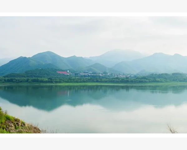 亚马逊B2B开通流程与核心功能详解_摸清酒企节日新品的时间线