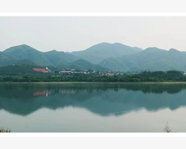 兽药厂家批量采购对接养殖企业的实操路径_企业如何选择适合自己的B2B平台