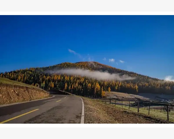 美国最大B2B平台如何选_摸清养殖园区的采购痛点