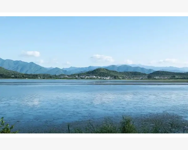 亚马逊B2B开通流程与核心功能详解_平台选择与店铺定位是第一步